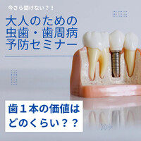 画像334